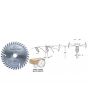 Amana DT200T36-65 200MM/36T SCORE 2 PH 65MM BORE