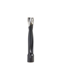 Amana tool 316034 Carbide Tipped 2 Flute RH Rotation 12mm D x 70mm CH x M8x1 Thread, for Festool Domino Joiner Machine