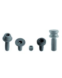 CMT 990.006.00 STEI Screw, M6x6mm 