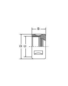 Fs Tool Collet Nuts Without Ball Bearing